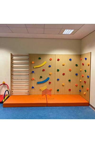 Home Decor 3 Panels of Climbing Wall with Swedish Ladder Combo | Basic Model