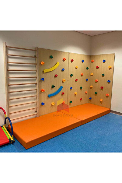 Home Decor 3 Panels of Climbing Wall with Swedish Ladder Combo | Basic Model