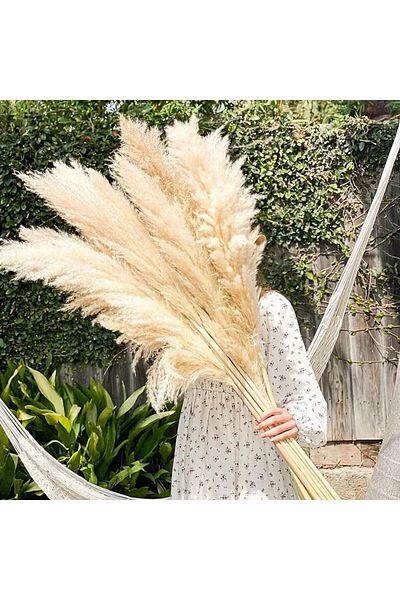 Generic natural pampas 80 CM