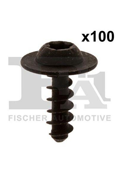 FA1 Șurub 11-70011.100