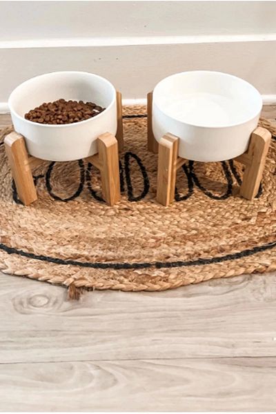 MatGo Paw Cat Dog Nutrition Food Water Bowl with Ceramic Bowl 500ml Volume Non-Slip Stylish and Hygienic Set of 2