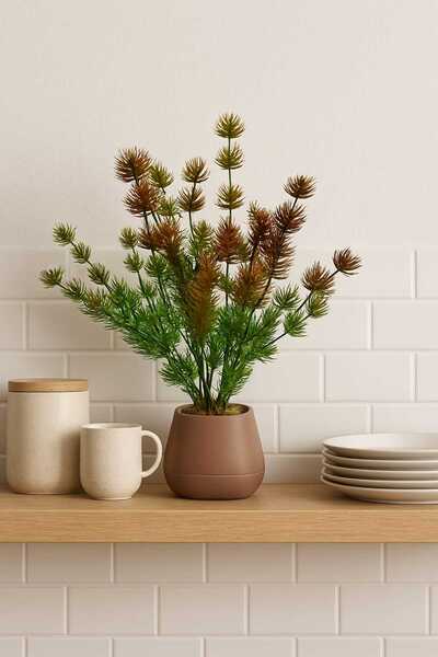 MAKİ DEKOR SAKSIDA YAPAY TOP DİKEN 30 CM DEKORATİF BİTKİ