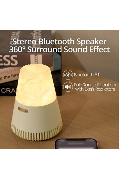 EZVALO 3 in 1 Natural Stone Aroma Bluetooth Speaker with Night Light