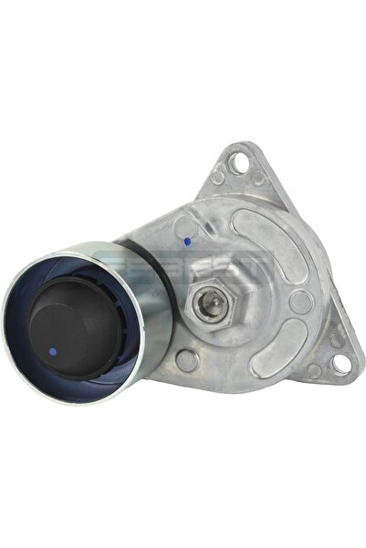 FEBEST Intinzator curea accesorii 2990-368DT LAND ROVER RANGE ROVER