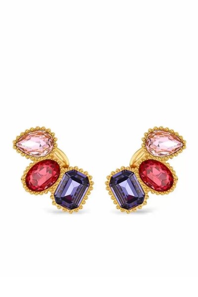 TAKIŞTIR Mixed Color Stone Detailed Earrings (Pair)