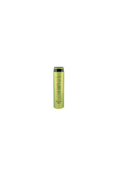 Maxxelle Shampoo Reconstruction Hair Damaged with Hyaluronic Acid Cura Recovery 250 ml