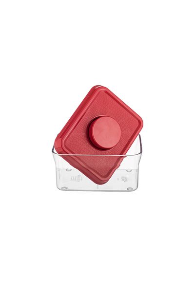 Dania 3-Piece Plastic Food Storage Container Set with Plastic Lid