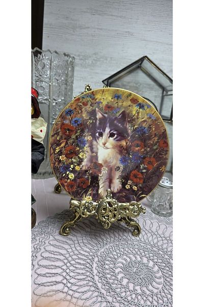 SELTMANN Porcelain Kittens Themed Wall Plate Model 15 21 cm Diameter