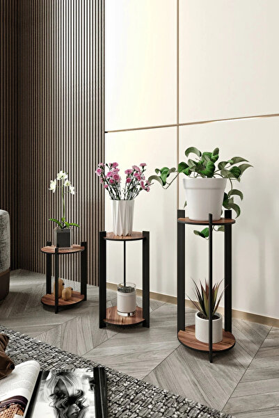 RAVILO 3'lü Yuvarlak Çiçeklik Saksılık Ceviz