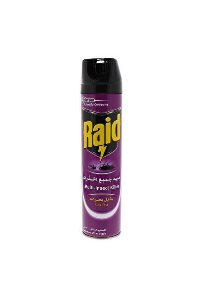 Raid Multi-Insect Killer Spray, 400ml