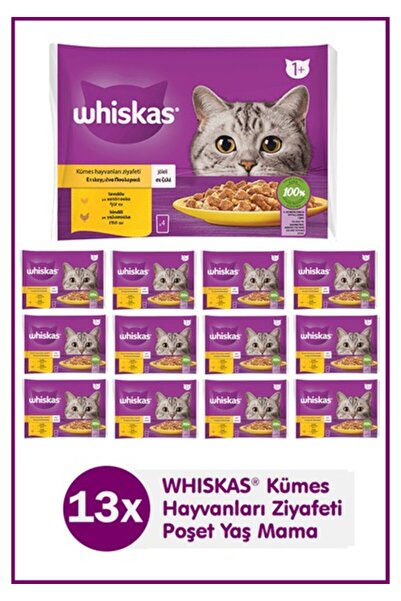 Whiskas Tavuklu ve Hindili Yetişkin Kedi Yaş Maması 4X85 gr (13 Paket,52 Adet...