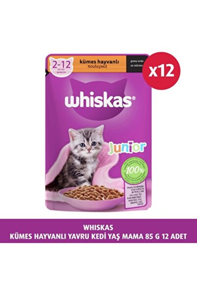 Whiskas Kümes Hayvanlı Yavru Kedi Yaş Mama 85 G 12X
