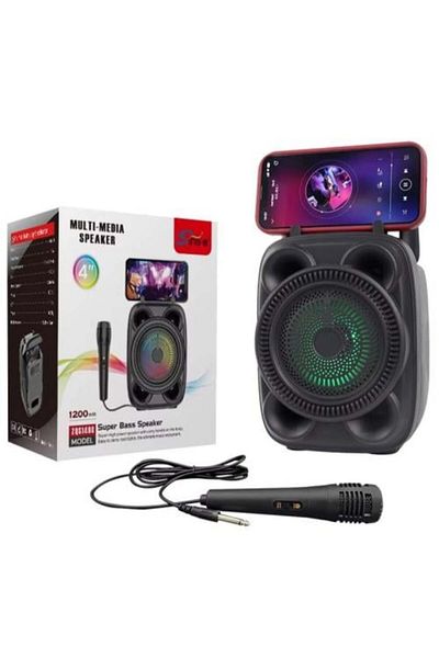 Singflo Portable Speaker with Microphone SING (ZQS1498)