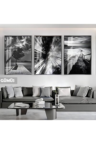 Harikabirev HARİKABİREV|SİYAH&BEYAZ SET AĞAÇ KOMBİNİ|ÇERÇEVELİ CAM TABLO 3LÜ ...