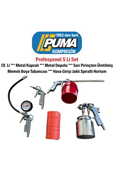 POWER 100 Litre. 2 Hp 220 Volt 8 Bar Pistonlu Kompresör 5 li Hava Setli
