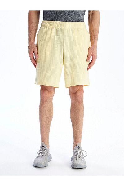 LC Waikiki Comfortable Fit Men's Shorts
