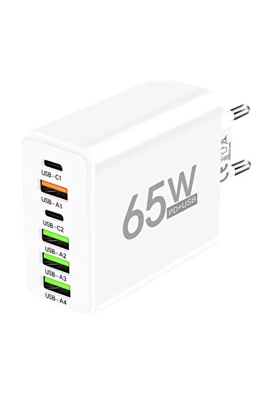 OEM Fast charger with 6 USB ports 65w