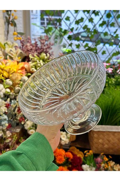 FARALYAHOME Large Size Glass Salad Fruit Bowl with Feet 20 cm
