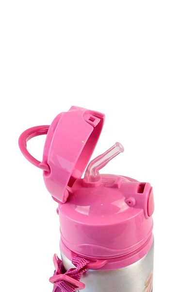 Dolphin Barbie Aluminum Flask 500ml