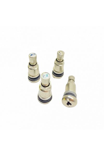 carx Set of 4 Iron Valves