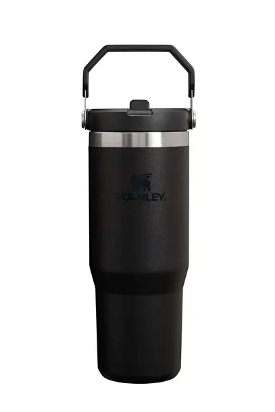 Stanley IceFlow 30 oz Stainless Steel Tumbler with Leak-Resistant Flip Straw