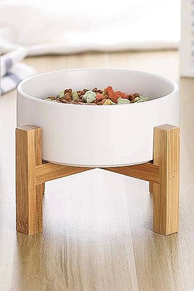 MatGo Paw Pine Tree Cat Dog Nutrition Food Water Bowl with Ceramic Bowl 500ml Volume Non-Slip Anti-Tipping 1 Piece