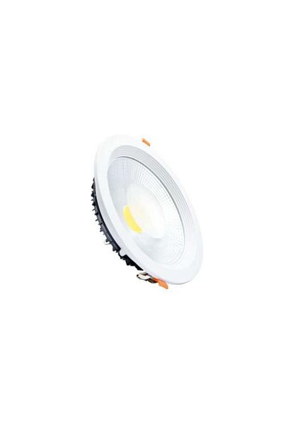 ELECTROPOWER Spotlight 20 cm 30W White