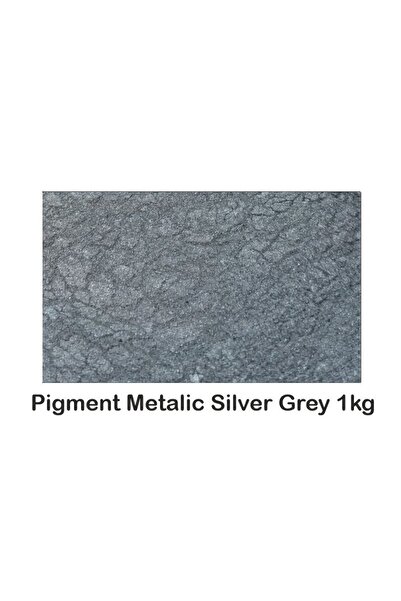 OEM Pigment Metalic Gri Argintiu / Silver Grey 1Kg.
