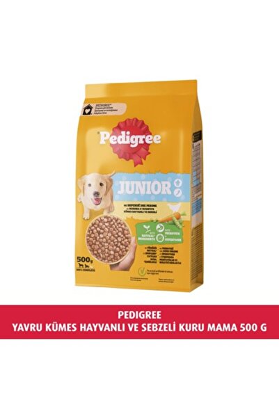 Pedigree Yavru Tavuklu Kuru Mama 500 gr (V2)