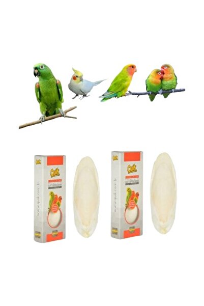 Quik Mürekkep Balığı Kemiği ( Kalamar) Orta Boy 2 Adet