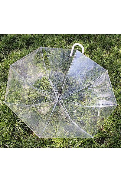 Generic Long Handle Semi Automatic Transparent Umbrella
