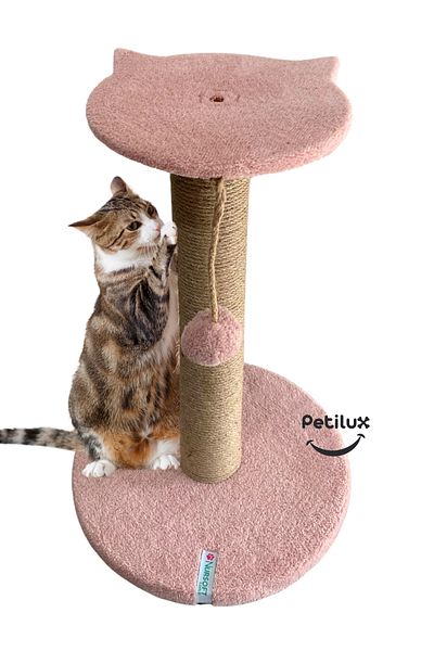 Petilux Jute Drawstring Single Scratching Post with Cat Head Figure Step Top