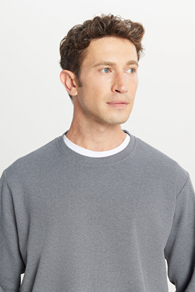 AC&Co / Altınyıldız Classics Men's Gray Cotton Standard Fit Regular Cut Crew Neck Sweatshirt