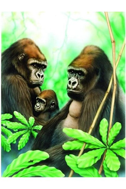 Royal Prima mea pictura pe numere junior mica - Gorile