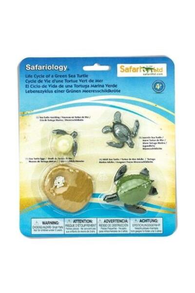 Safari Ciclul de viata la broasca testoasa de mare