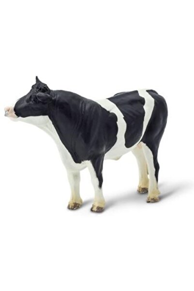 Safari Taur Holstein