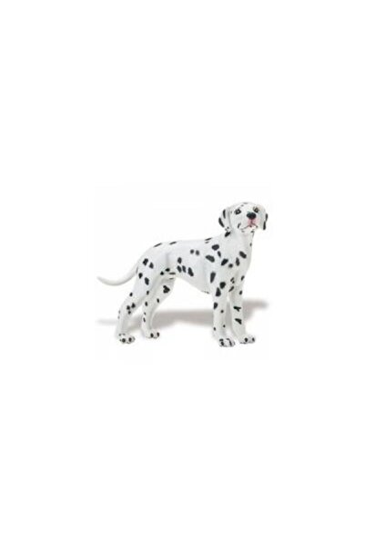 Safari Caine Dalmatian