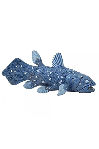 Safari Coelacanth