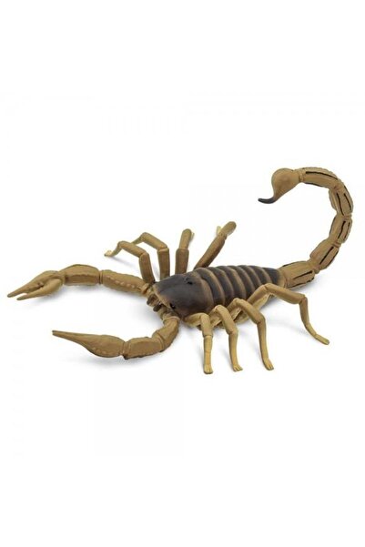 Safari Scorpion