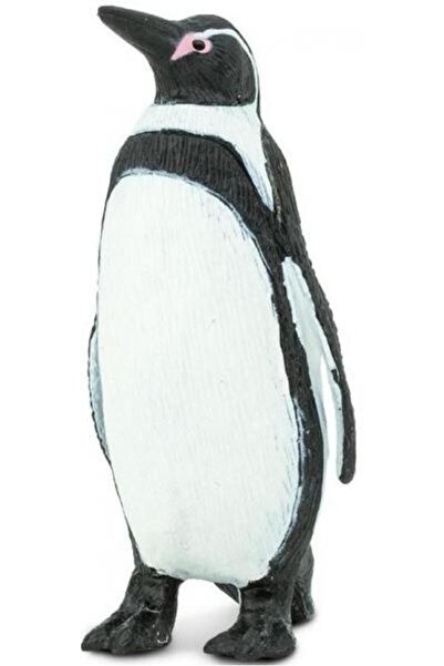 Safari Pinguinul Humboldt