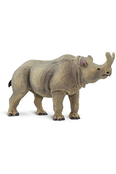 Safari Megacerops