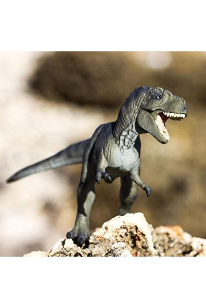 Safari Tyrannosaurus Rex