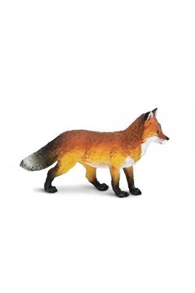Safari Vulpe