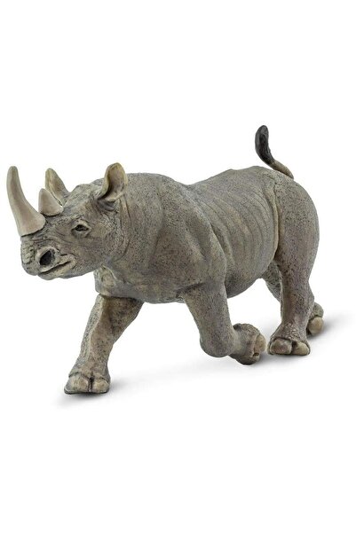 Safari Rinocer