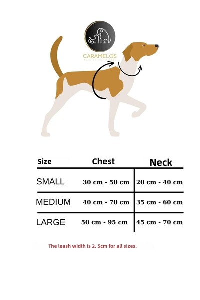 CARAMELOS H Type Dog Collar Set - Chest and Walking Collar, Medium and Large Breed
