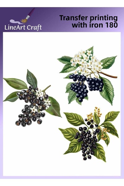 LİNEART Grape Pattern on Branch Ironing Transfer Printing & Fabric Transfer N...