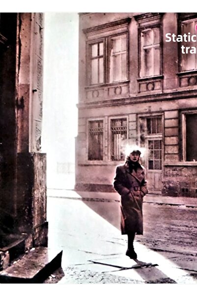 Universal Cămilă - Poster decorativ din lemn cu tablou cu cămilă în alee, pen...