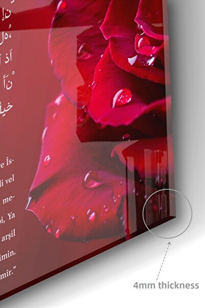 Olinpa Premium Kitchen Glass Stove Back Protector | Abundance, Tableware, Ant Prayer