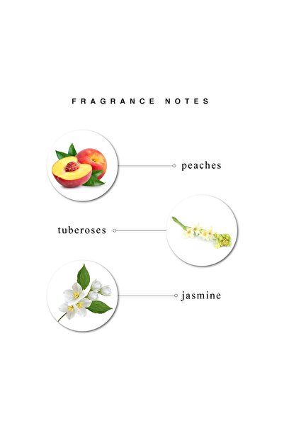 ENCHANTEUR Gorgeous Perfumed Deo Roll-On 50ml – Long-Lasting Fragrance