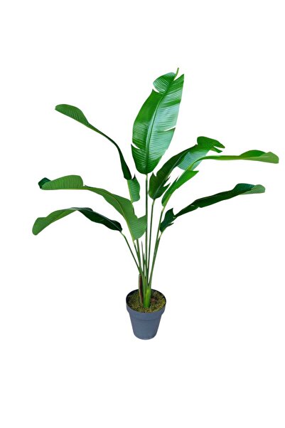 MAKİ DEKOR YAPAY STARLİÇE 125 CM 7 ISLAK DOKULU YAPRAKLI DEKORATİF İÇ MEKAN AĞACI